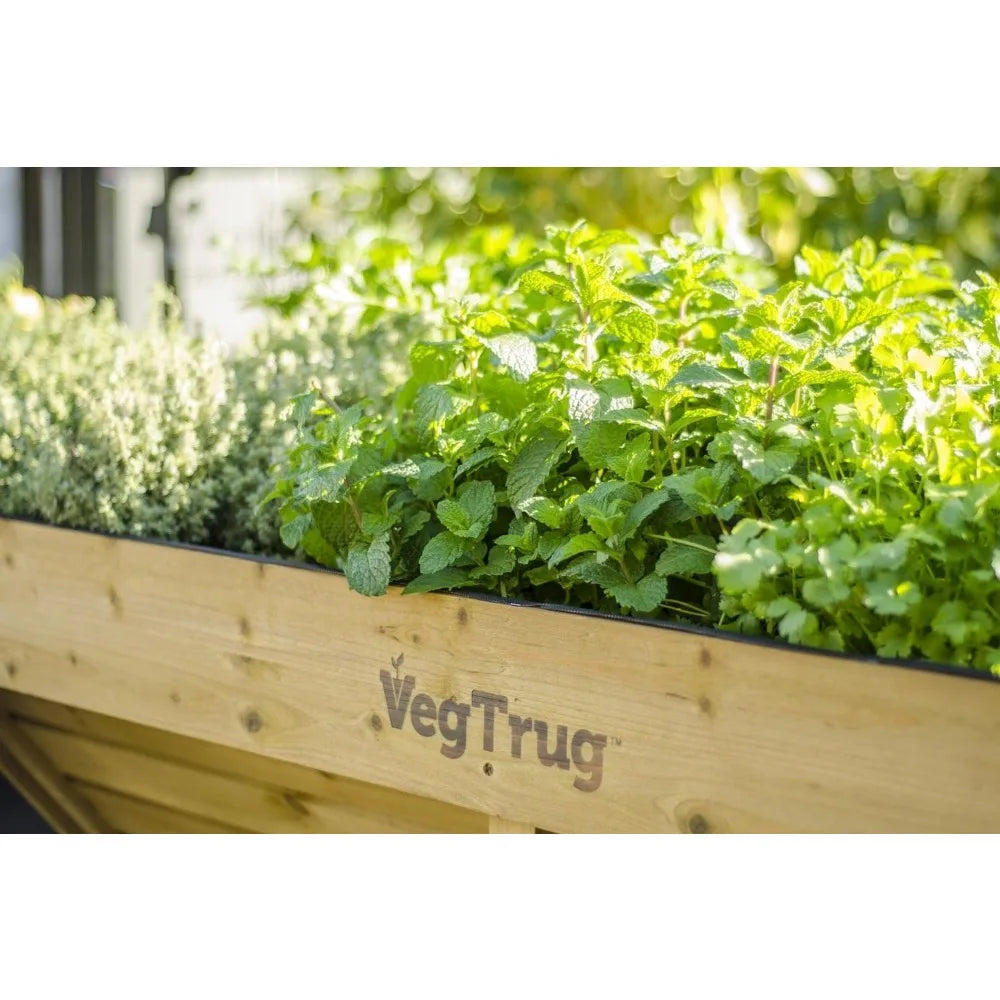 VegTrug VTNMD 0367 USA 1.8m Raised Planter, large, Natural